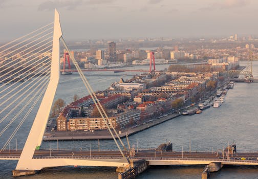 Laatste nieuws Rotterdam-Rijnmond: live updates uit de regio