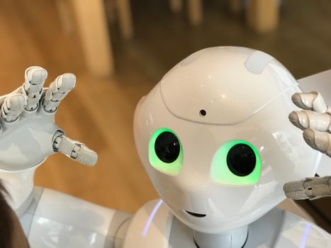 Slimme robots en robotica in Rotterdam, van haven en energie tot zorg en dagelijks leven