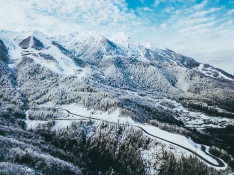 Kijkers volgen de olympische winterspelen 2026 op groot scherm in een Rotterdams sportcafé in het centrum