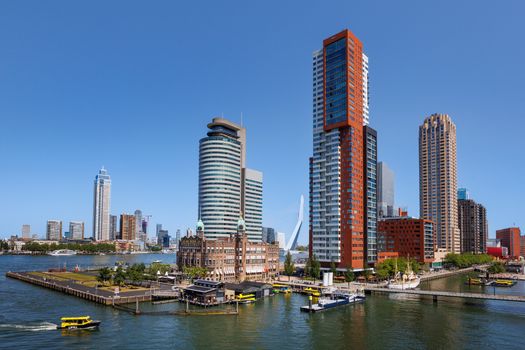 Belegger in Rotterdam bekijkt beurskoersen en vergelijkt sectoren op een laptop